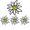 Generisch Set of 4 stickers, Alps Edelweiss Bavaria, car sticker,