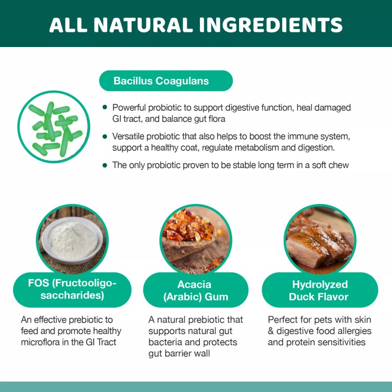 Probiotic for Dogs & Cats, Travel Pack (6) - Digestive