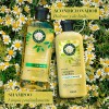 Shampoo Herbal Essences Brillo Manzanilla Pasiflora 400 ml