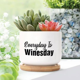 DecStic Everyday is Winesday Ceramic Planter Bible Verse Planters for Indoor Plants with Drainage Holes and Saucers Pot for Home Office Desk Garden