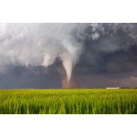 Storm Photography Print (Not Framed) Picture of Tornado Spinning Up Dust Over Wheat Field on Spring Day in Texas Thunderstorm Wall Art Nature Decor (4" x 6")