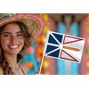 10 Pack Newfoundland and Labrador Handheld Small Flag,Mini NL Hand