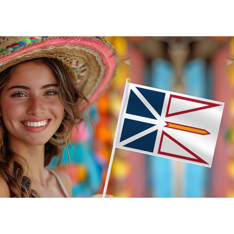 10 Pack Newfoundland and Labrador Handheld Small Flag,Mini NL Hand