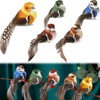 5 Pieces Decorative Birds Artificial Birds Small Artificial Birds Hanging