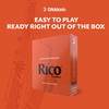 D’Addario Woodwinds Rico - Reeds for Alto Saxophone - Thinner