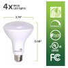 Bioluz Led Paquete De 4 Bombillas De Inundación Cri Br30