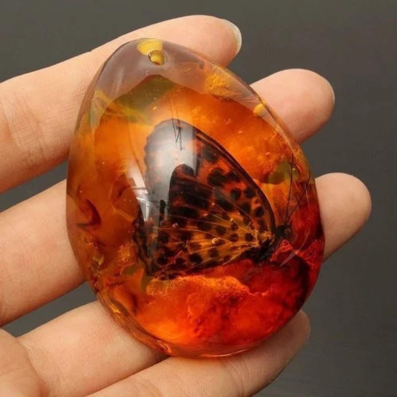 Zaagot Animals Amber for Butterfly Stone Pendant Necklace e for