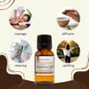 GreenHealth Cinnamon Cassia – 1 fl oz (30 ml) Glass
