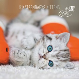 Alpha Edition - Katzenbabys 2025 Brochure Calendar, 30 x 30 cm, Wall Calendar with Space for Notes and Appointments, Beautiful Motifs of Cat Babies, Monthly Overview and Holiday Dates DE/AT/CH: by