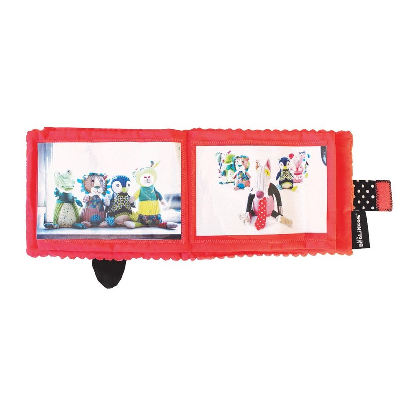 The Deglingos jélékros Photo Album The Lion