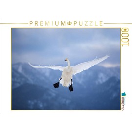 CALVENDO Puzzle Whooper Swan 1000 Pieces 64 x 48 cm from MaVo Tier- und Naturfotografie