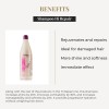 Salerm Hi Repair Shampoo and Repair Mask Combo Set