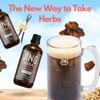 Jing Soda® Root Beer Cream - Zero Carbs, Zero Sugar,