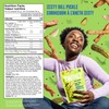 TWIGZ Craft Pretzel Sticks - Zesty Dill Flavor | Pack