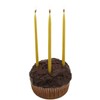 Beeswax Candle Works, 5-Inch Birthday Candles (Pack of 24) 100%