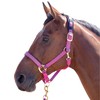 Shires Topaz Nylon Headcollar-Orange Cob