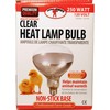 Little Giant® Bulb for Brooder Lamp | Heat Lamp |