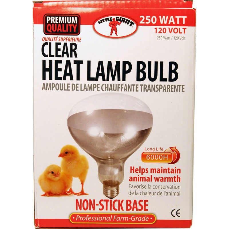 Little Giant® Bulb for Brooder Lamp | Heat Lamp |