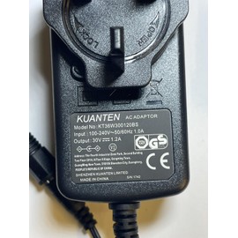 Replacement for 29.0V 0.8A 23.2W SWITCHING ADAPTER CZH024290080TRWO for Xmas Dec