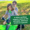 GoGo squeeZ Organic Fruit Snacks Pack of 12 Squeeze Pouches