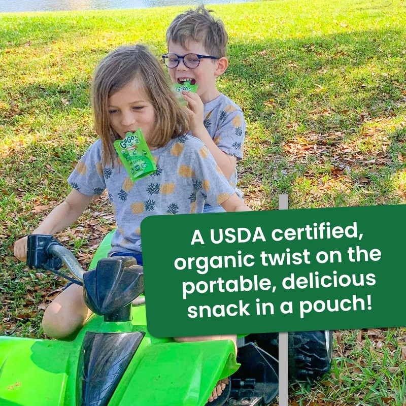 GoGo squeeZ Organic Fruit Snacks Pack of 12 Squeeze Pouches
