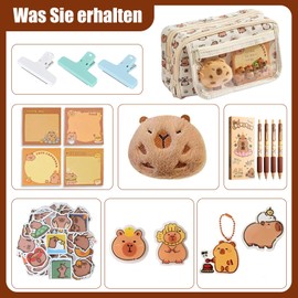 Capybara-Briefpapier-Set, Transparentes Capybara Mäppchen, Capybara Federmäppchen Groß, Capybara Schul Sachen Mit Briefpapier Inklusive, Weit öffnendes mit Fächern, Geburtstagsgeschenke für Kinder