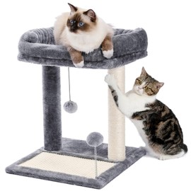 PAWZ Road Cat Scratching Post Bed, Small Cat Tree Tower with Cat Scratcher Pad Large Top Removable Bed with Play Ball Great for Kittens and Cats