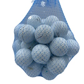 Golf Ball Planet Pro V1 2023 3A/Good Recycled Used Golf Balls for Titleist (100 Pack, White)