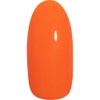 PRE GEL PGU-M1014 PREGEL Muse Color Gel, Sunny Orange, 0.1