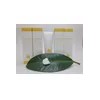 올바르다 EGF 시카 판테놀 세라마이드 피부진정 속건조보습 자생크림50ml Olive EGF