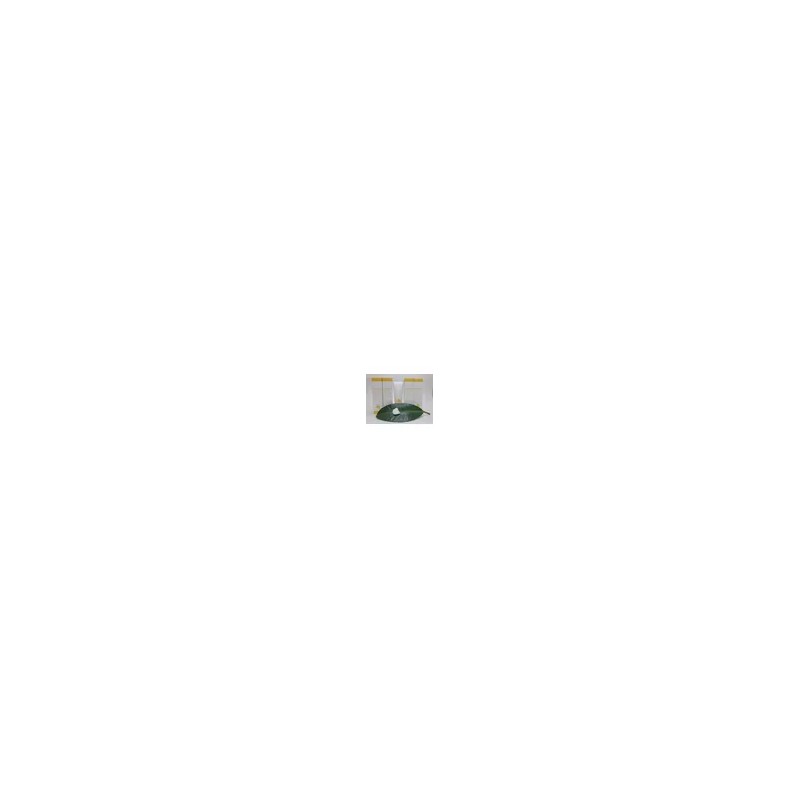 올바르다 EGF 시카 판테놀 세라마이드 피부진정 속건조보습 자생크림50ml Olive EGF