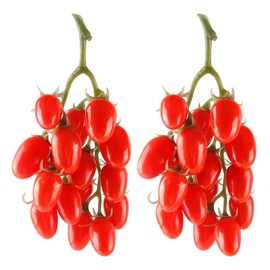 Artificial Tomato String, 2 Pack Simulation Artificial Lifelike Fake Fruits Vegetable Photography Props Home Kitchen Harvest Decoration (Red Tomato, 2pcs)