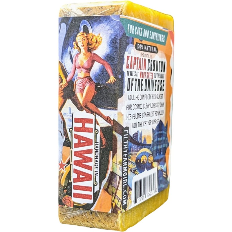 Tangerine Galaxy Filthy Space Cat Soap