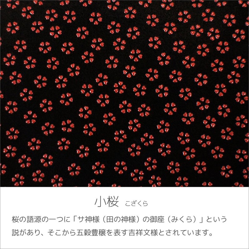 Indenya 4701-21-002 Belt Strap, Key Chain B, Deer Leather, Black