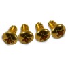 WD 3 or 5 way Blade Switch Mounting Screw Gold