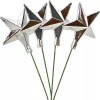 Lee Display Silver Star Picks Holiday Star Ornaments Christmas Tree