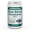 Blue Berry Blueberry Capsules Pack of 200 - For Supply
