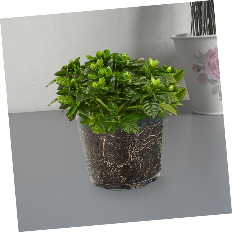 CAXUSD 6pcs Transparent Orchid Pots with Drainage Holes Clear Nursery