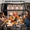 Jensense Edison LED Light Bulbs E26 Bulb 60 watt Equivalent