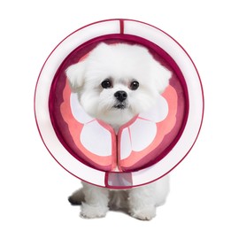 Inflatable Dog Cone Collar for Large Medium Small Dogs, Soft Dog Donut Collar Adjustable Recovery Cone for Pets After Surgery, Extra Enhanced Anti-Licking Guard Shield (Mangosteen, Medium)