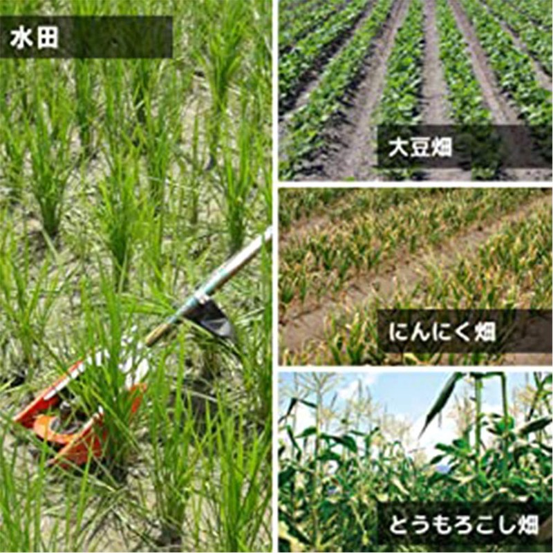 Sanyo Metal Paddy Field Weeding Cutter, Medium Drying Tatsujin, Chip