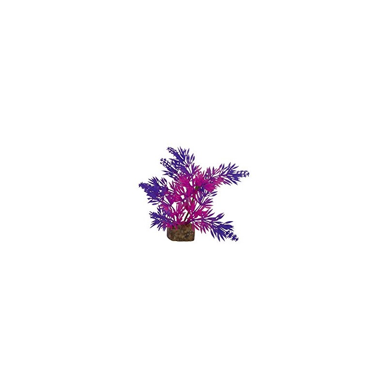 GloFish 78087 Plant for Fish, Purple/Pink, Small