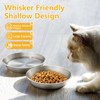 6-Pack Stainless Steel Cat Food Bowls – 5.9" Deep, Whisker-Friendly