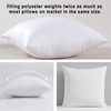 HITO 16x16 Pillow Inserts (Set of 2, White)- 100% Cotton