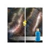 Shampoo Anticaspa Con Seda, Pachuli, Argán Terramar / 180 Ml