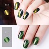 Gsnagole Gel Nail Polish Kit - Cat Eye Magnetic Gel