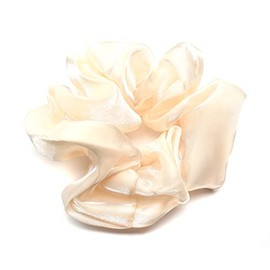QinGoo Organza Elastic Hair Scrunchie Beautiful Women's Hair Accessories Headdress Elegant Hair Accessory 1 Piece (Apricot)