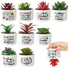 Rtteri 9 Pcs Teacher Appreciation Gifts Ceramic Succulent Plant Pot Thank You Gifts for Teachers Cute Planter with Tray Teacher Appreciation Flower Pot for Women Men Teacher Christmas Birthday Gift