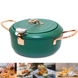 Cyrder Deep Fryer Pot, 4.3L/11 Inch Japanese Tempura Frying Pot with Fahrenheit Thermometer, Nonstick Carbon Steel Oil Fryer, for Tempura/Frech/Fish/Chicken Fries, Easy Clean, Green