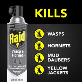 Raid Wasp and Hornet Killer Spray, Kills the entire nest, Kills Paper Wasps, Yellow Jackets, Mud Daubers and more, 14 oz (Pack of 12)